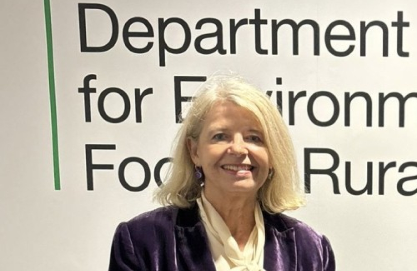 Image of Harriett Baldwin