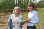 WEST WORCESTERSHIRE MP Harriett Baldwin visited one of the country’s major hop producers to help with the harvest and celebrate local produce.