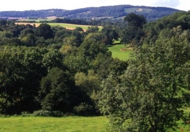 Malvern