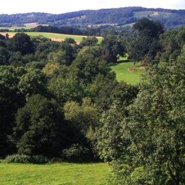 Malvern